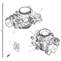 DROSSELKLAPPENKOERPER
