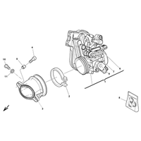 DROSSELKLAPPENKOERPER