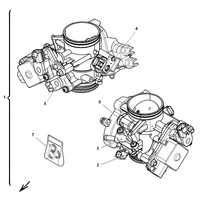 DROSSELKLAPPENKOERPER