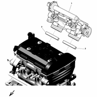 DROSSELKLAPPENKOERPER