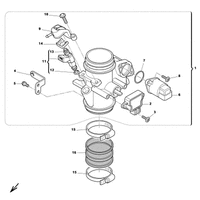 DROSSELKLAPPENKOERPER