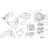 STREIFEN /  KOTFLUEGEL /  SITZBANK