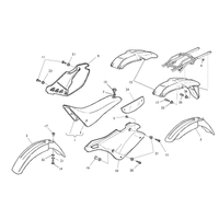 STREIFEN /  KOTFLUEGEL /  SITZBANK