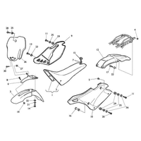 STREIFEN /  KOTFLUEGEL /  SITZBANK