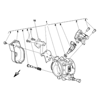 DROSSELKLAPPENKOERPER