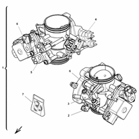 DROSSELKLAPPENKOERPER
