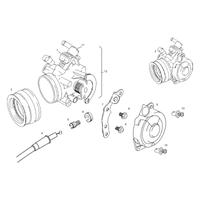 DROSSELKLAPPENKOERPER