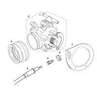 DROSSELKLAPPENKOERPER