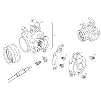 DROSSELKLAPPENKOERPER