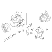 DROSSELKLAPPENKOERPER