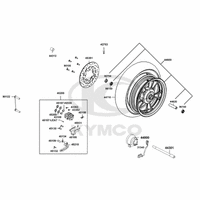 Vorderrad, Bremssattel & Bremsscheibe