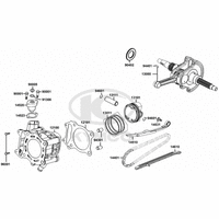 Zylinder & Kurbelwelle
