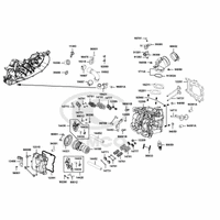 Zylinderkopf & Ventiltrieb