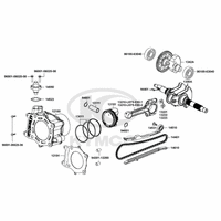 Zylinder & Kurbelwelle