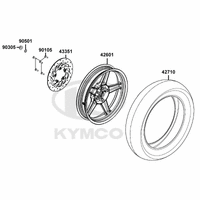 Hinterrad & Bremsscheibe