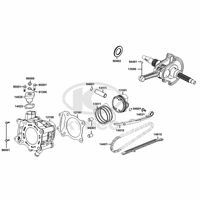 Zylinder & Kurbelwelle