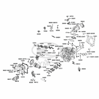 Zylinderkopf & Ventiltrieb