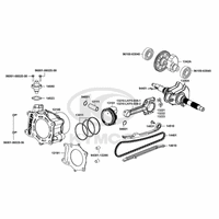 Zylinder & Kurbelwelle