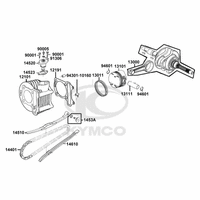 Zylinder & Kurbelwelle