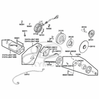 Lichtmaschine, Anlasser & Ölpumpe