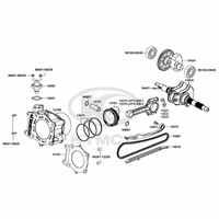 Zylinder & Kurbelwelle