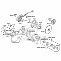 Lichtmaschine, Ölpumpe, Anlasser & Anlasserfreilauf