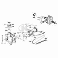 Zylinder & Kurbelwelle