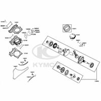 Zylinder & Kurbelwelle