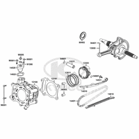 Zylinder & Kurbelwelle