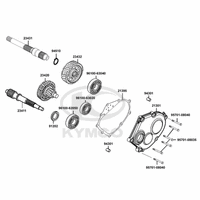 Getriebe & Getriebedeckel