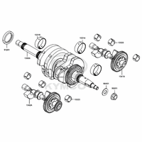 Kurbelwelle & Ausgleichswelle