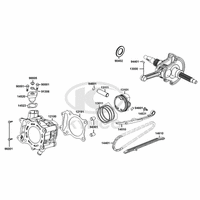 Zylinder & Kurbelwelle