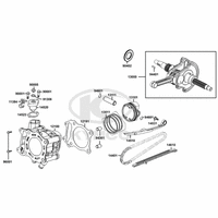Zylinder & Kurbelwelle