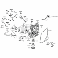 Gehäusedeckel rechts, Ölfilter & Wasserpumpe