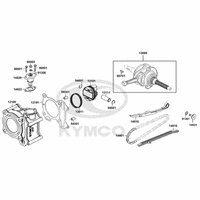 Zylinder & Kurbelwelle