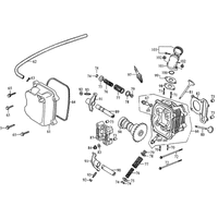 Zylinderkopf & Ventiltrieb