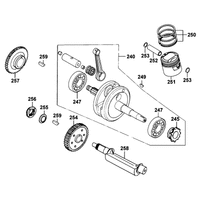 Kurbelwelle & Kolben