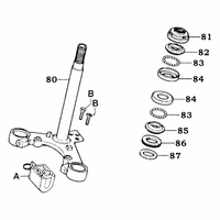 Gabeljoch & Lenkkopflager