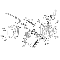 Zylinderkopf & Ventiltrieb
