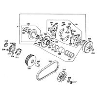 Fliehkraftkupplung & Variomatik