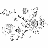 Zylinderkopf & Ventiltrieb