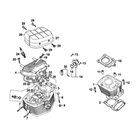 Zylinder & Zylinderkopf