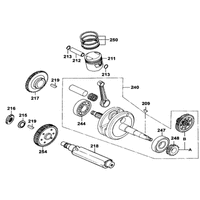 Kurbelwelle & Kolben