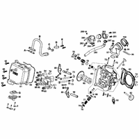 Zylinderkopf & Ventiltrieb