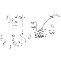 Elektrische Anlage & Schloßsatz