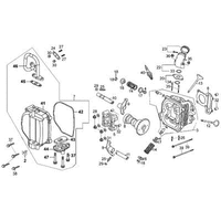 Zylinderkopf  & Ventiltrieb