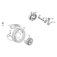 Hinterrad mit Bremse