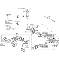 Schwinge & Federbein hinten