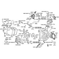 Zylinderkopf & Ventiltrieb