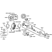 Zylinder & Kurbelwelle
